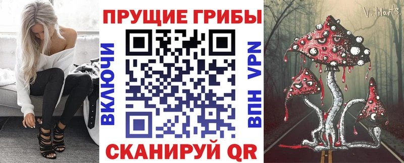 Псилоцибиновые грибы прущие грибы  Лодейное Поле 